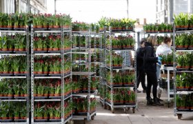 Euro Plant Tray test twee modellen plantentrays