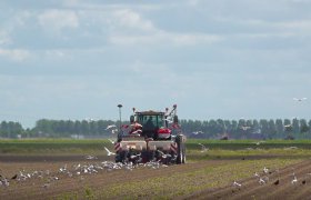 WUR: waterstof biedt volop kansen voor boeren en tuinders