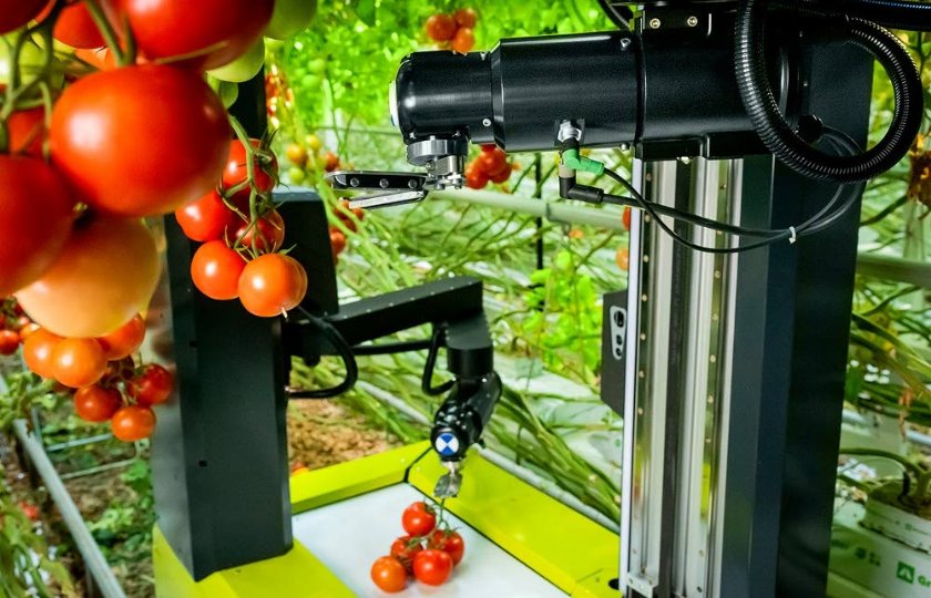 Tomatenplukrobot+voor+het+eerst+te+zien+op+tuinbouwbeurs