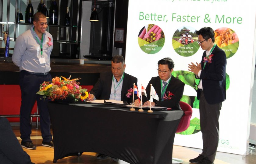 Keejon Shin (tweede van rechts), oprichter en directeur van EGG, tekent samen met vertegenwoordigers van de Egyptische landbouworganisatie EBG een overeenkomst voor de productie van microknollen.